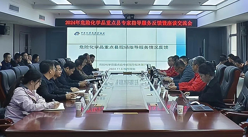应急管理部专家组来区开展危险化学品重点县专家指导服务工作